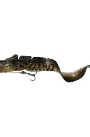 3D Burbot Shallow - Image 3