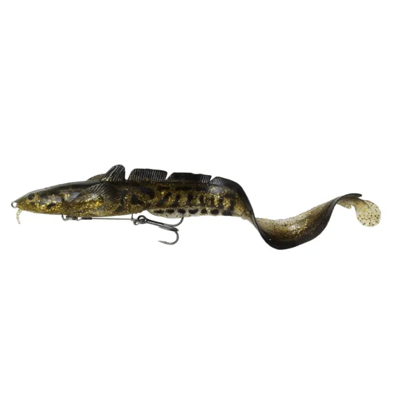 3D Burbot Shallow