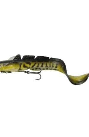 3D Burbot Shallow