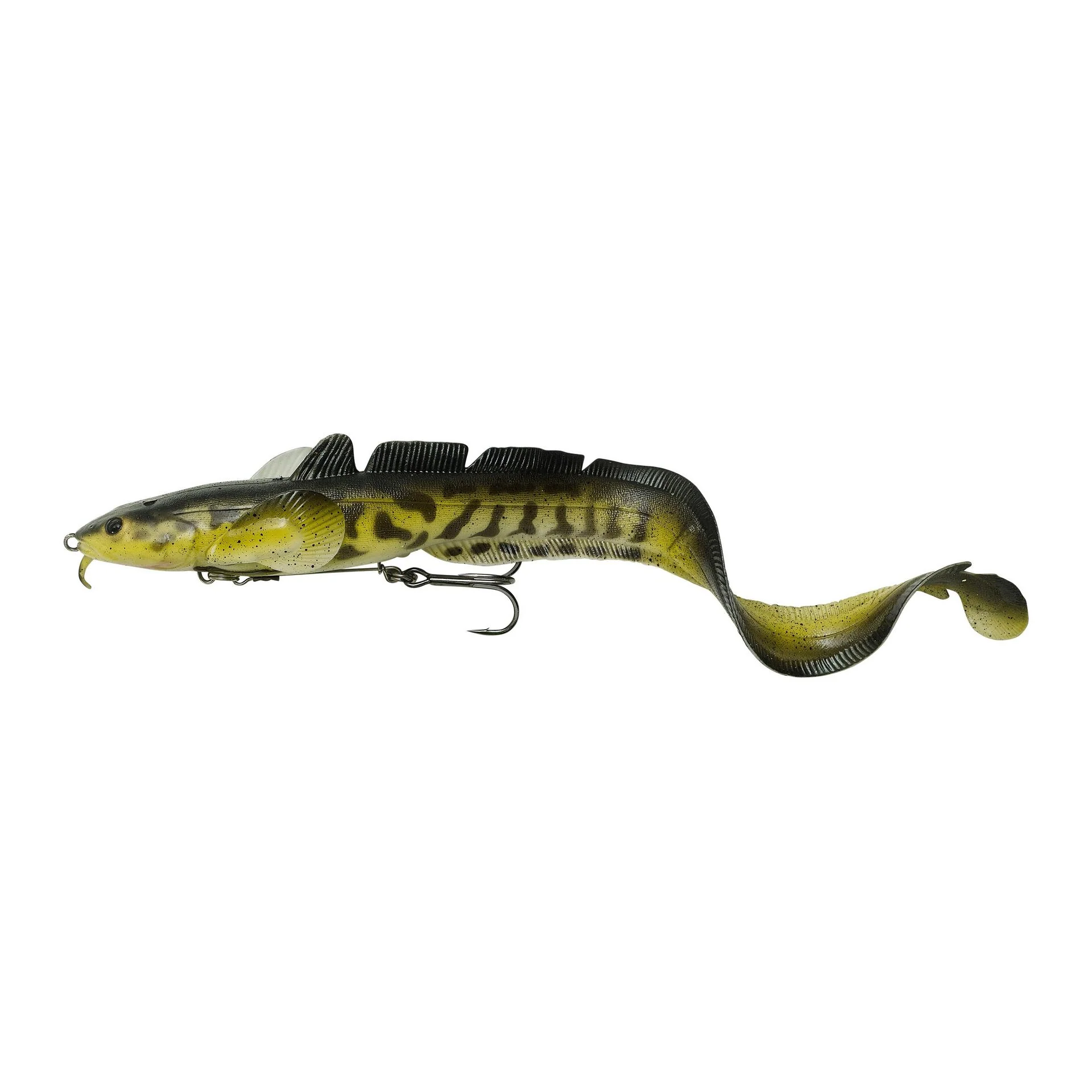 3D Burbot Shallow - Image 1